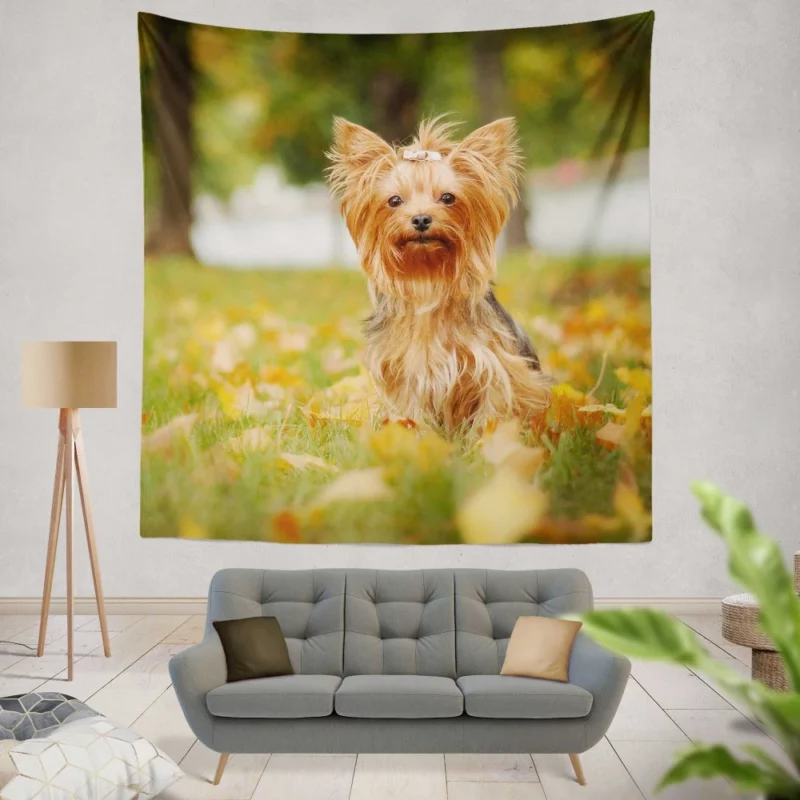 Yorkshire Terrier Captivating Gaze Furry Wonder Wall Hanging Tapestry